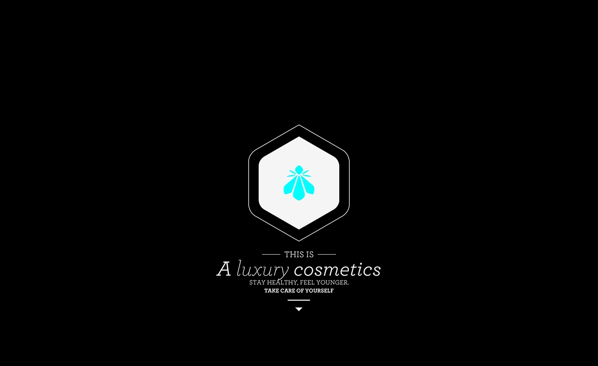 BEEloved honey蜂蜜創(chuàng)意包裝設計網(wǎng)站設計