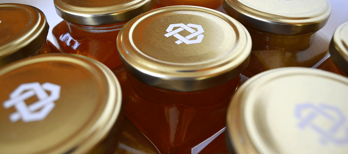 Education through design蜂蜜標志運用