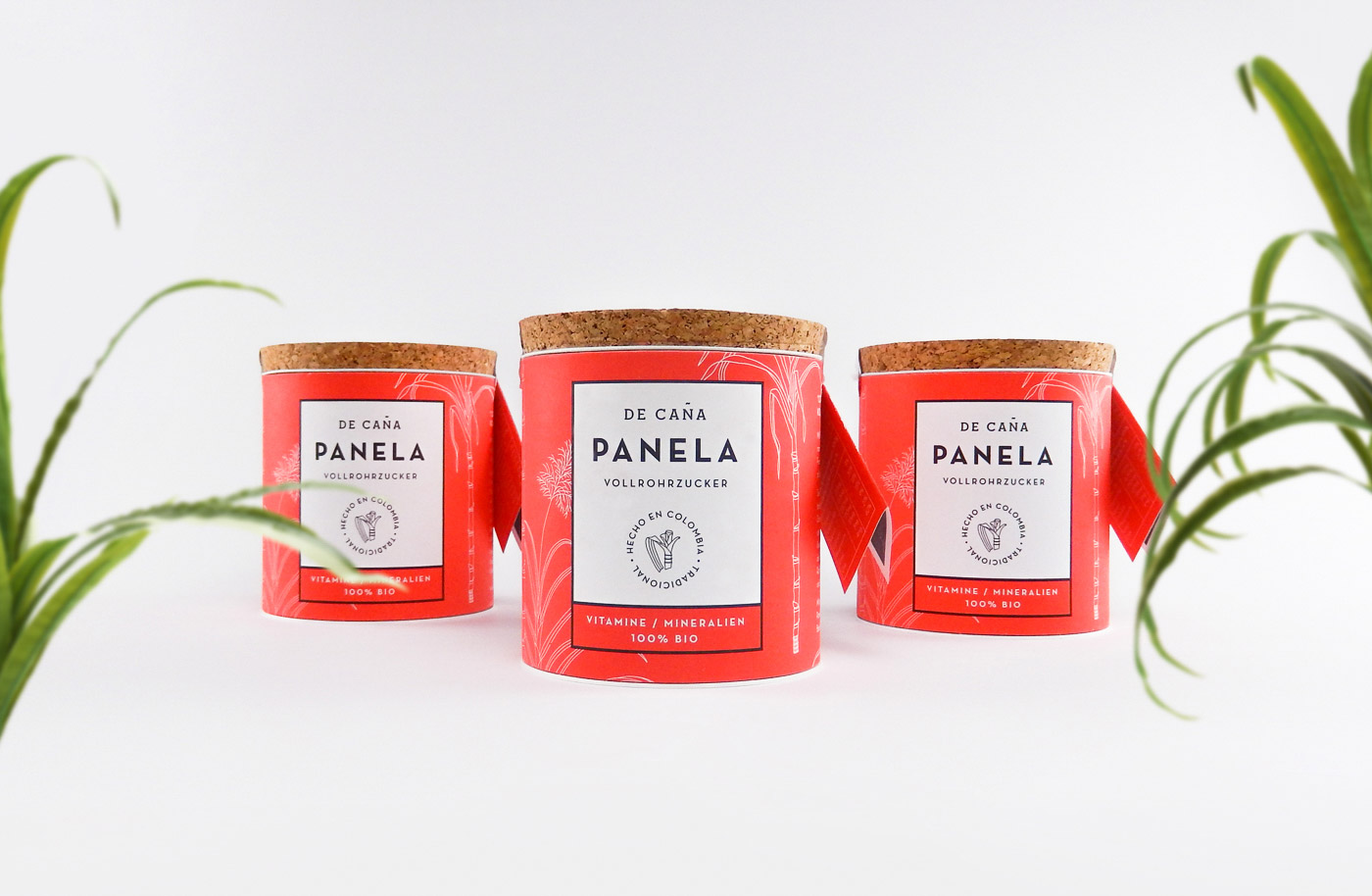 甘蔗紅砂糖包裝設(shè)計