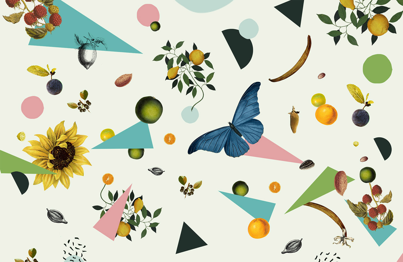 巧克力松露插畫