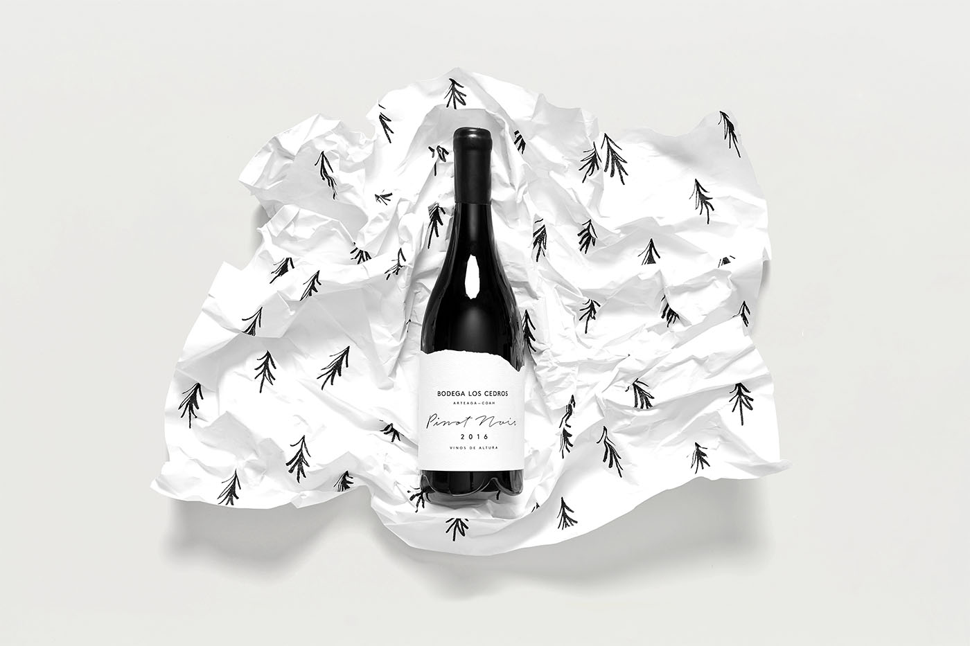 墨西哥葡萄酒創(chuàng)意包裝設(shè)計(jì)