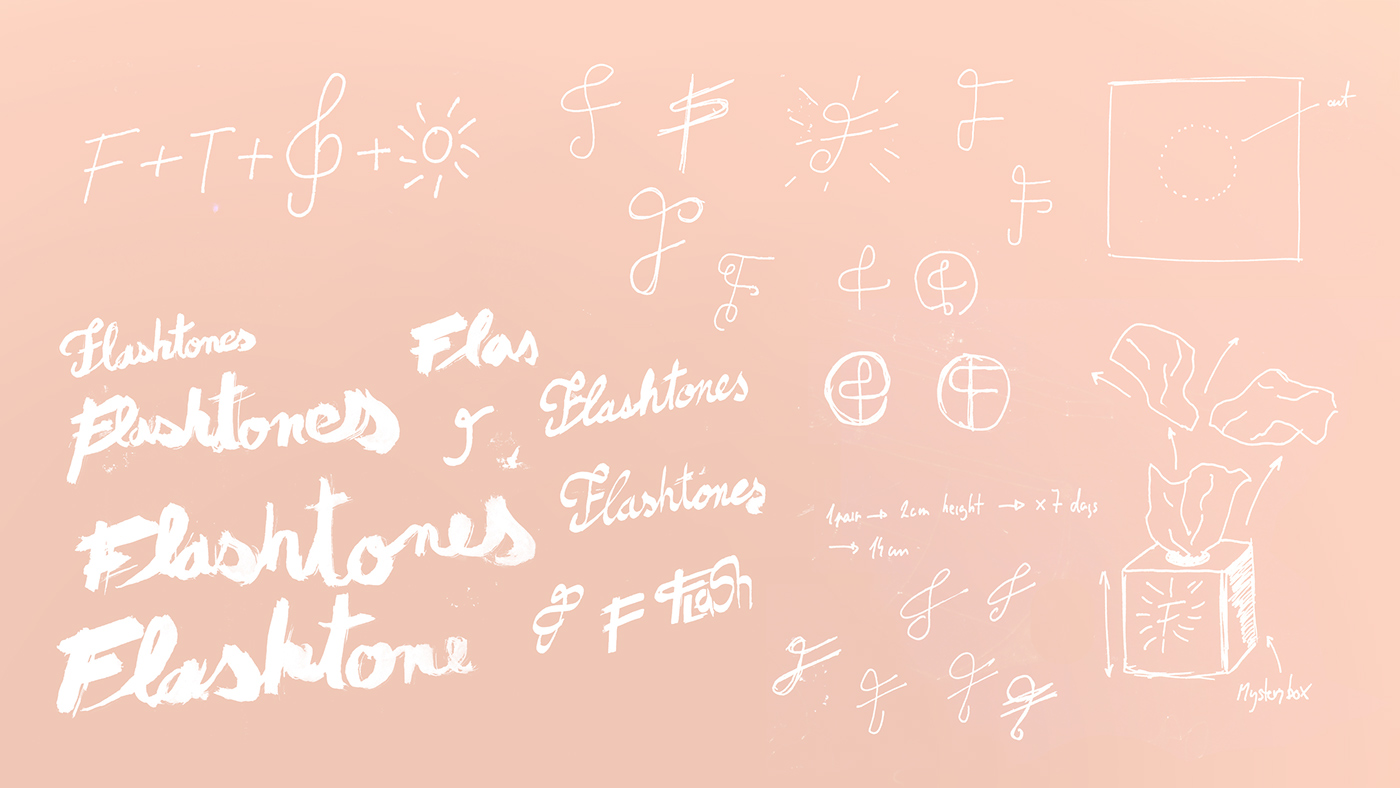 捷克襪子品牌標志設(shè)計