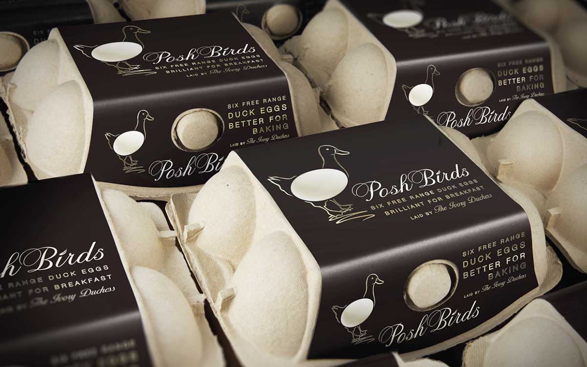 高質(zhì)量蛋類插畫包裝設(shè)計(jì)