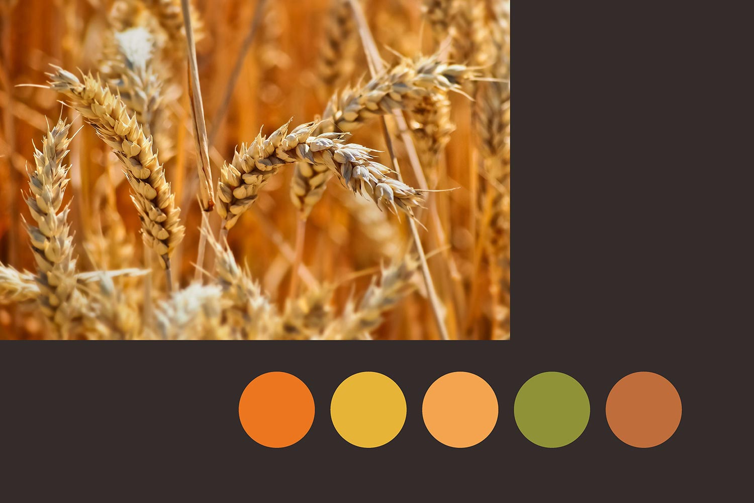 25.jpg-厚啟包裝設(shè)計(jì)