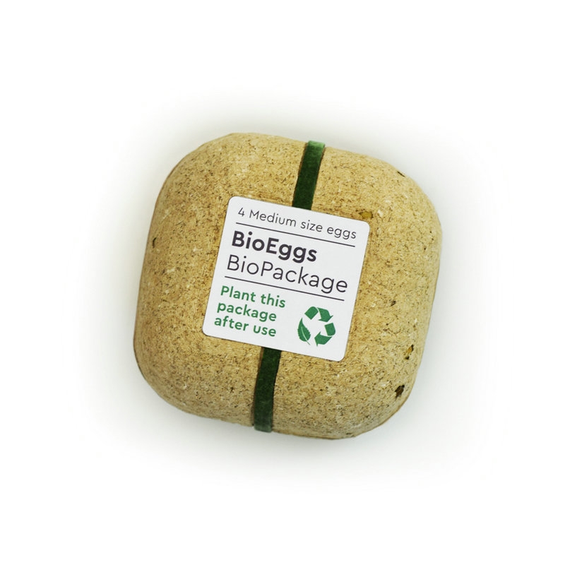 環(huán)保雞蛋包裝設計