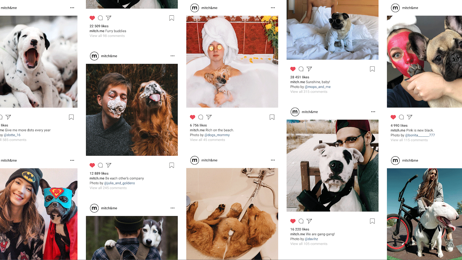 寵物狗洗發(fā)水包裝設(shè)計