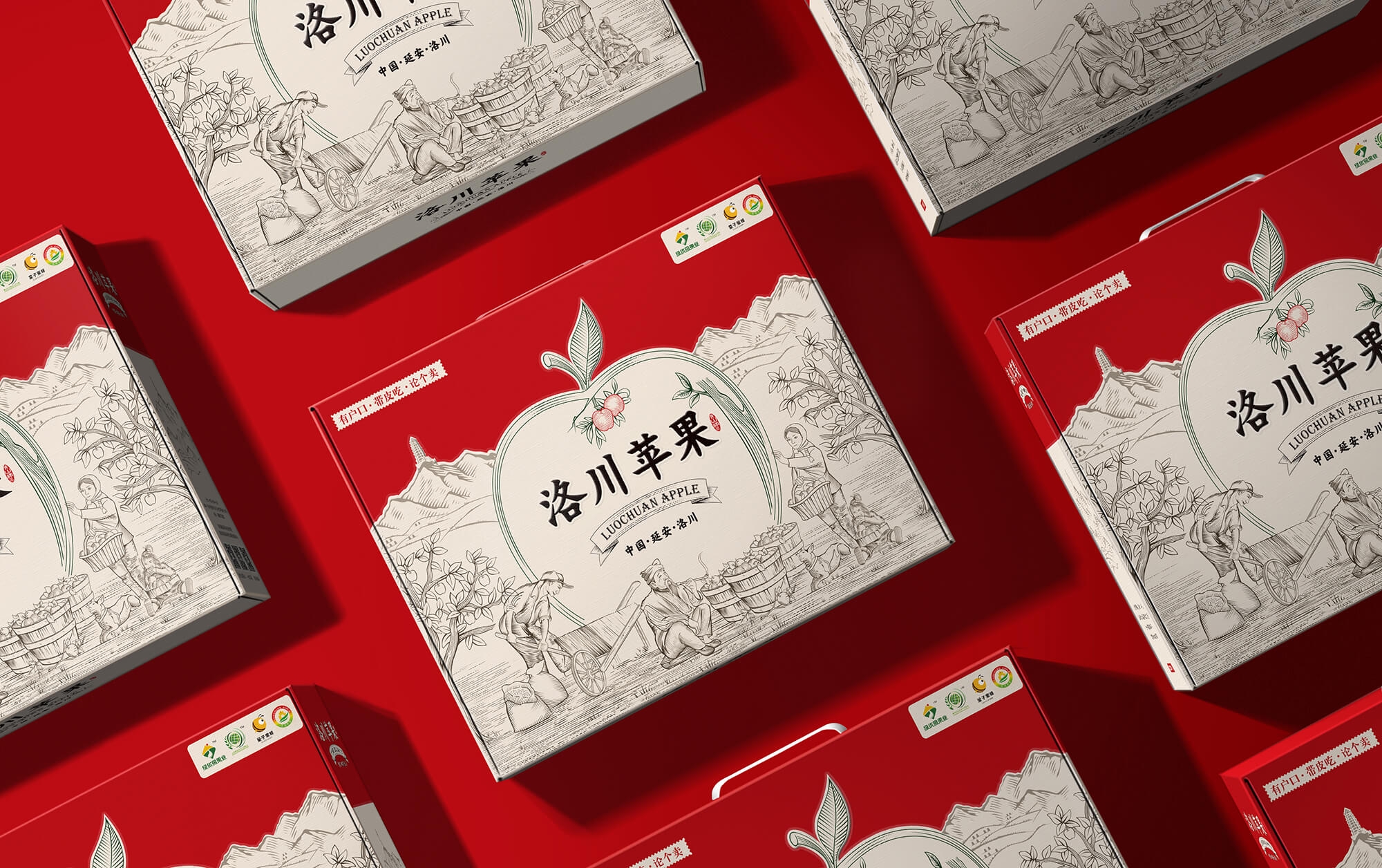洛川蘋果效果圖07 (1).jpg-厚啟包裝設(shè)計(jì)
