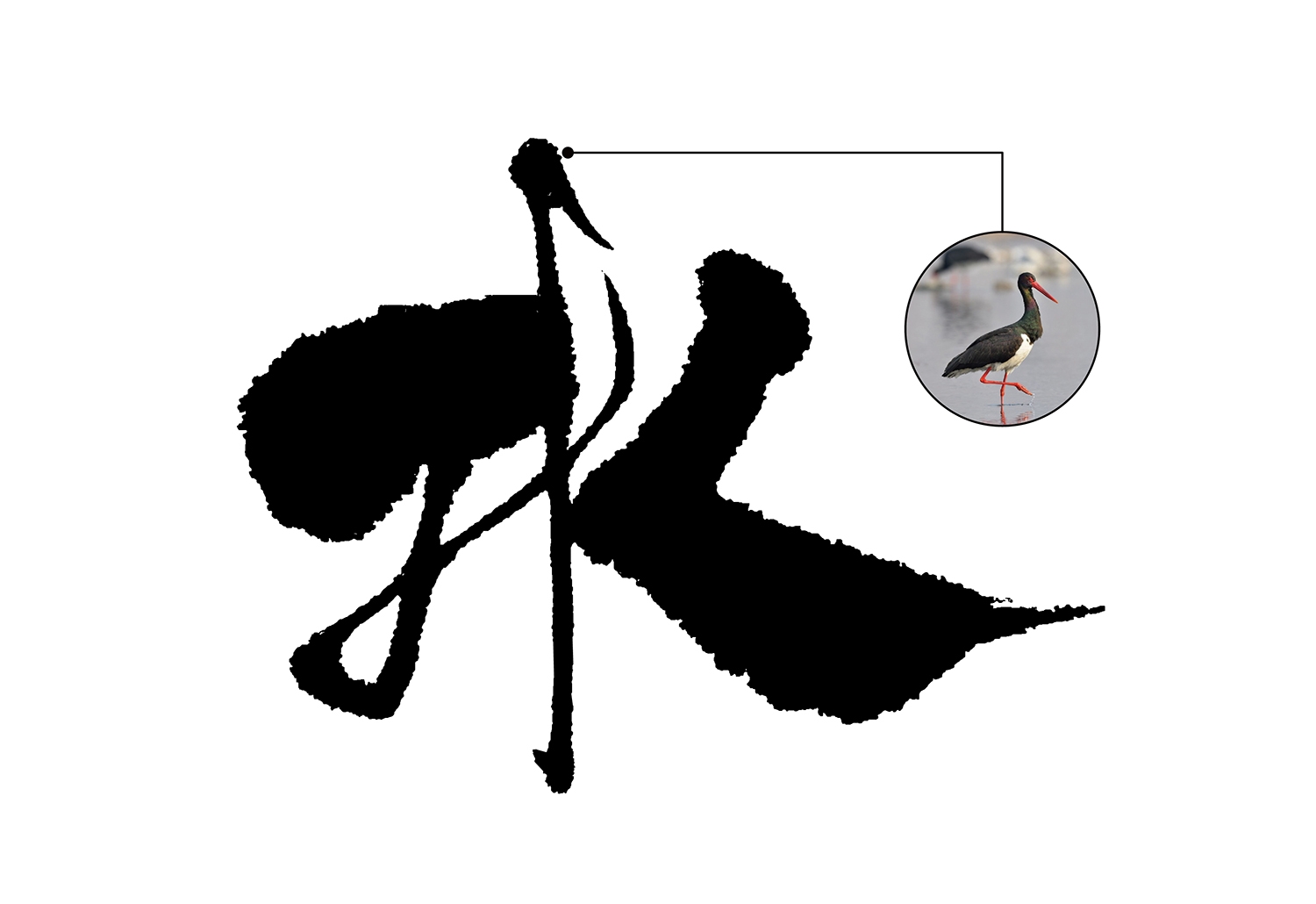 字體標(biāo)志創(chuàng)意設(shè)計(jì)-厚啟包裝設(shè)計(jì)