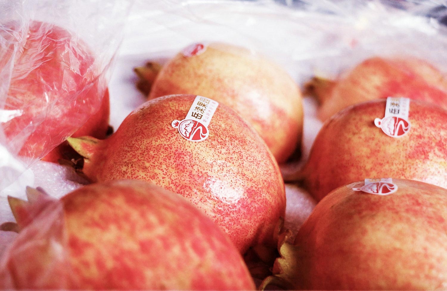 5ce8b6b41a2bc.jpg-厚啟包裝設(shè)計(jì)